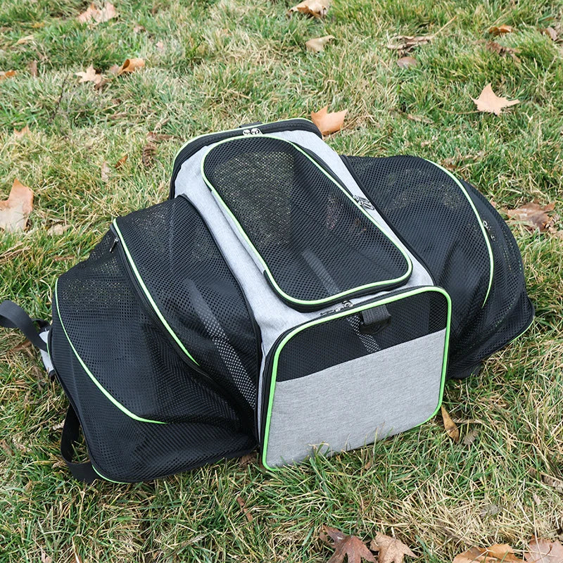 Airline-Approved Expandable Pet Carrier for Small Dogs & Cats – Soft-Sided Collapsible Travel Bag with 4-Way Access